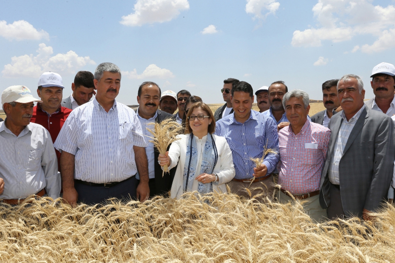 Çiftçilere dağıtılan buğday tohumunda yüksek verim elde edildi